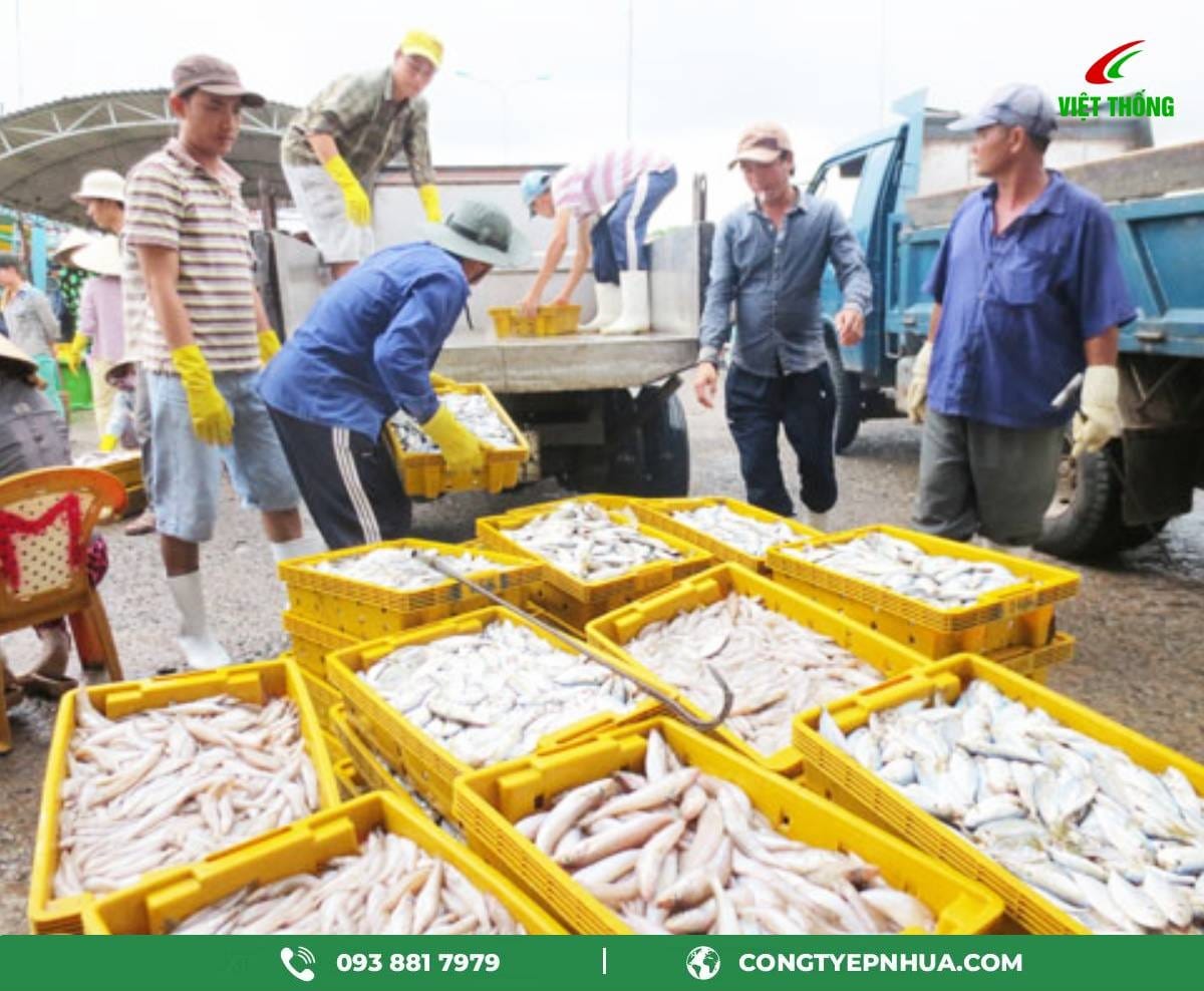 Rổ nhựa đựng thủy hải sản