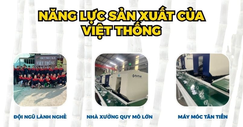 Điểm mạnh năng lực của VIỆT THỐNG