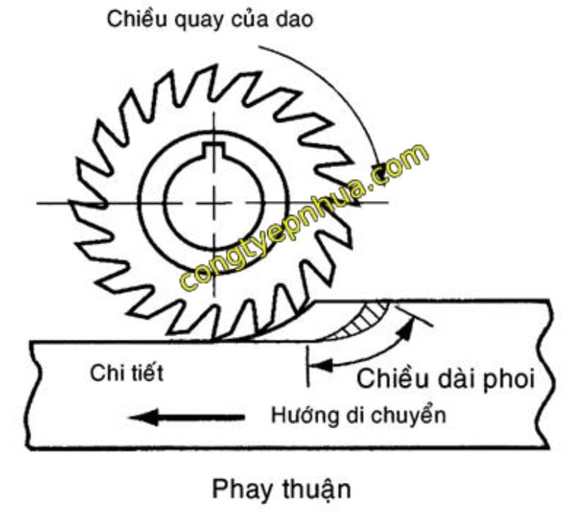 phay thuận