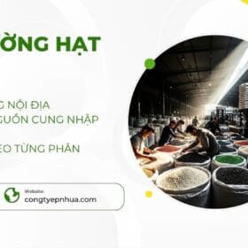 Thị trường hạt nhựa
